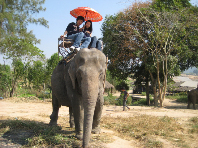 파타야 너무 재밌었어요^^*