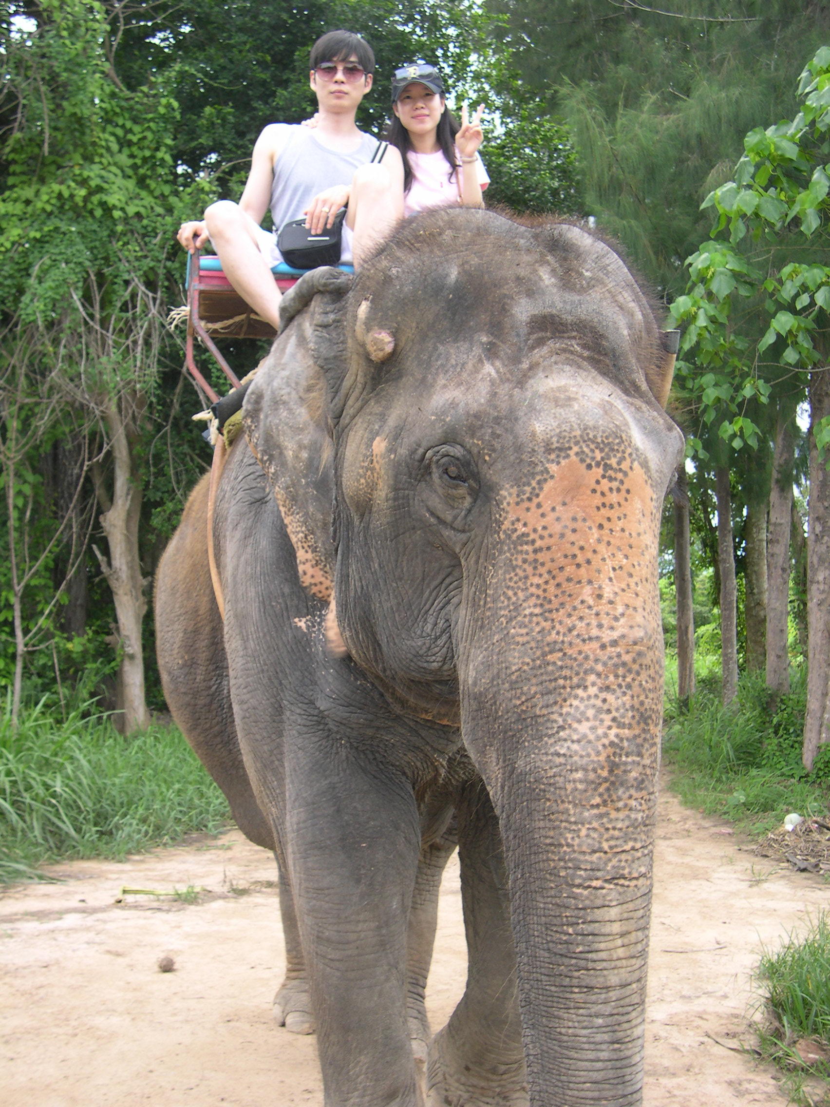 물렀거라,,임금님 행차시다..