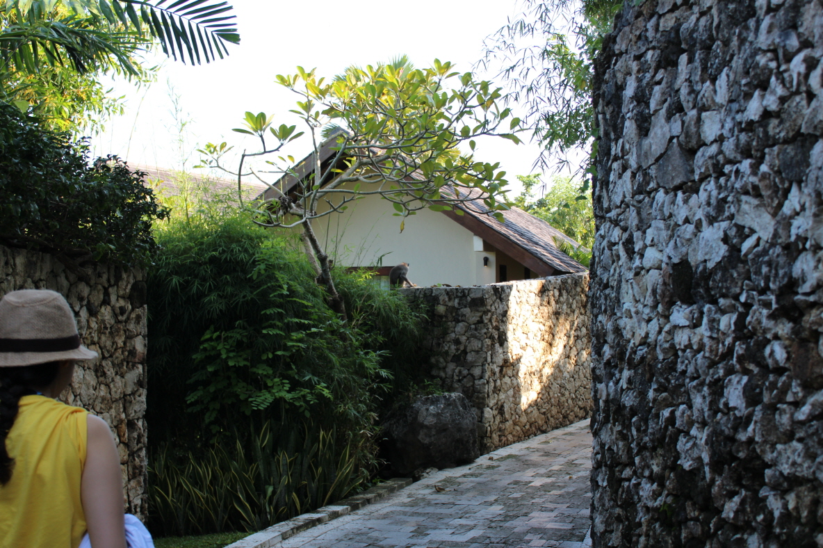 발리 다녀왔습니다 ^^