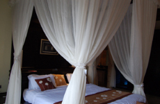 유♡일♡무♡이 - 신행여행기 3탄