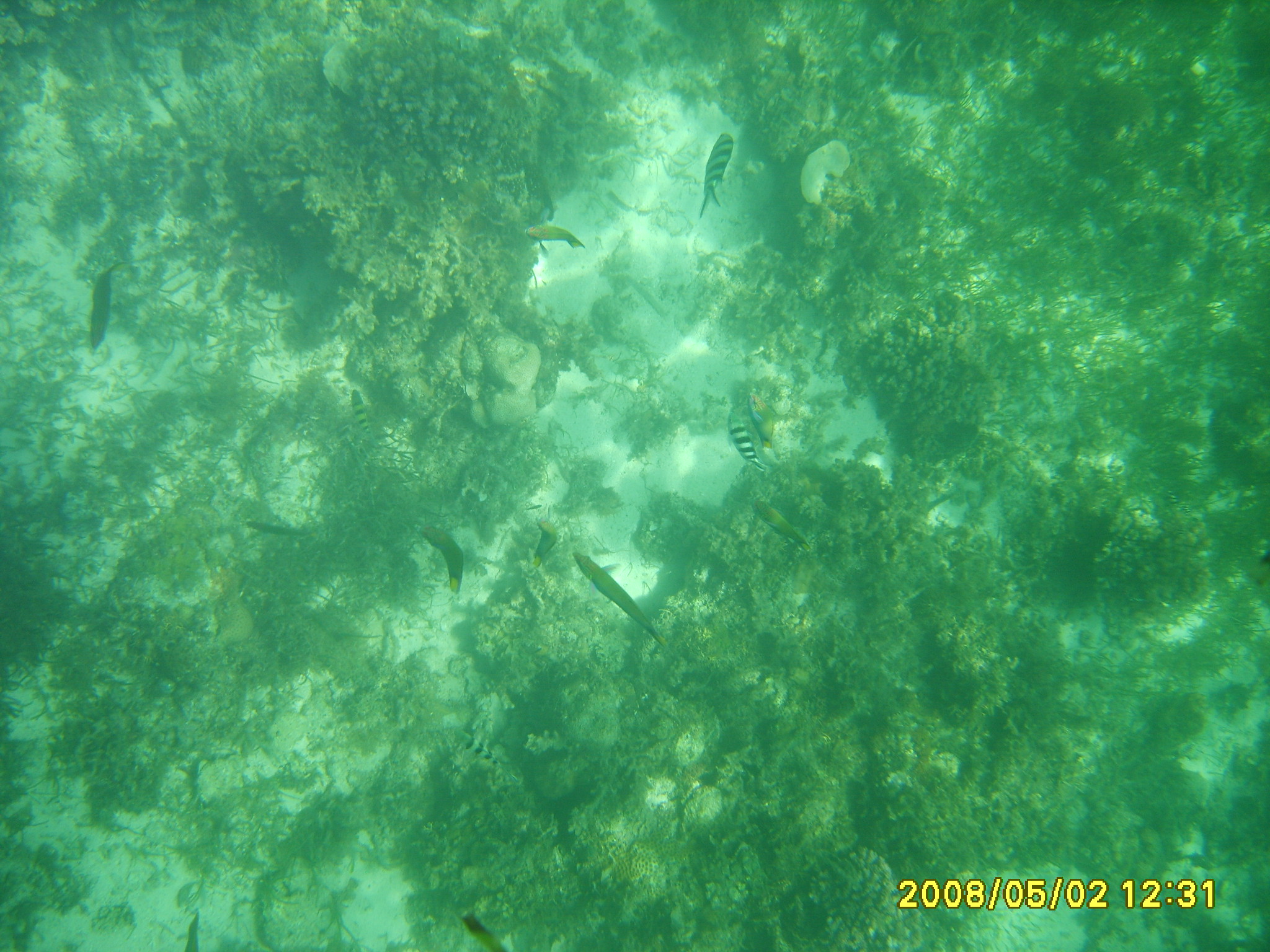 화이트 비치 보라카이~