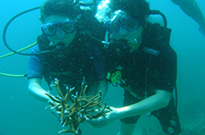 7월25일 뮤지엄에서 결혼한