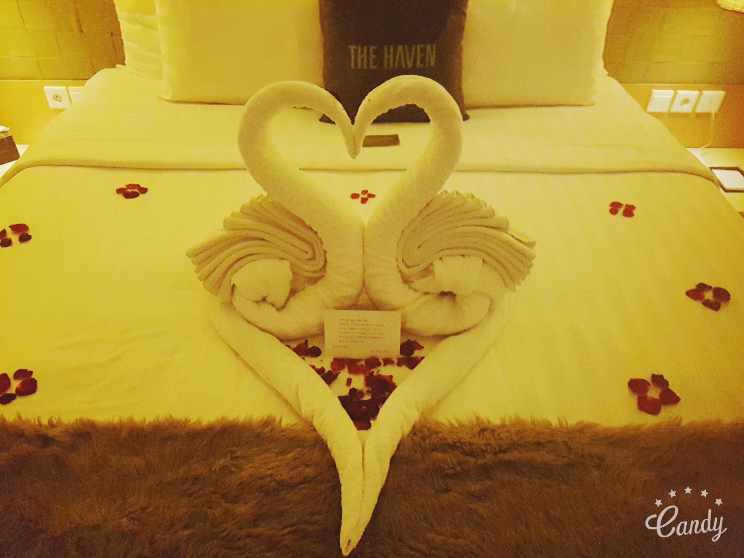 오로지 여행사만 믿고 떠난 발리 혼여행