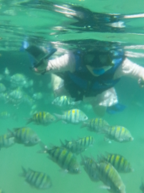 말로만 듣던 칸쿤 드디어 도착~~~