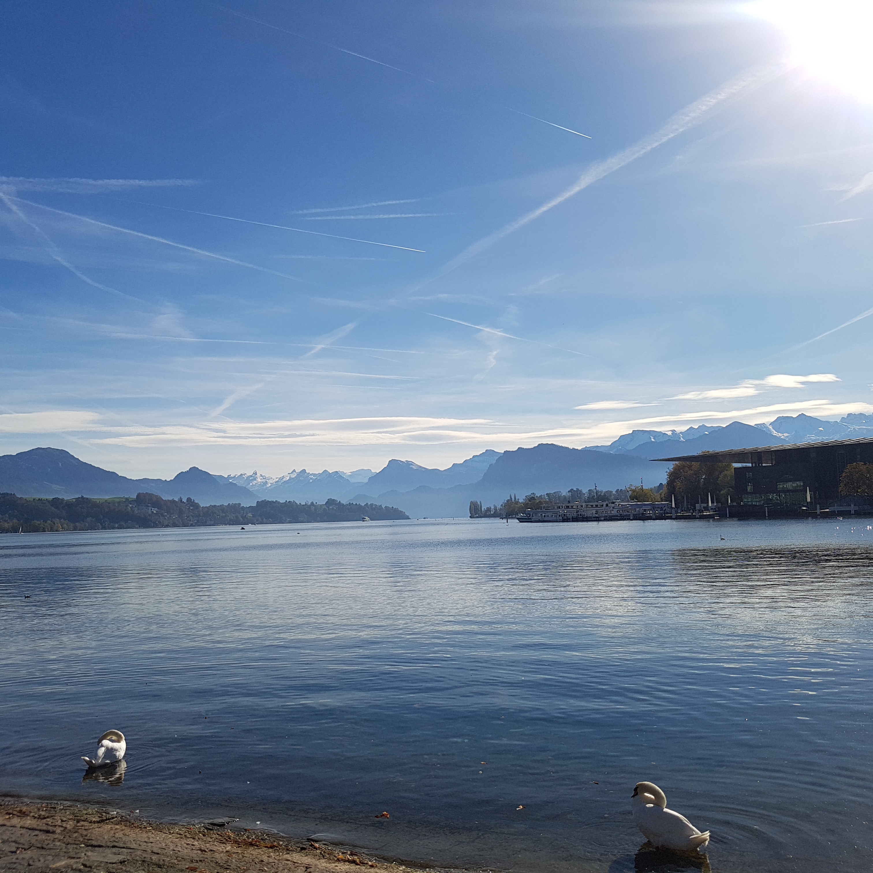 스위스, 체코, 오스트리아 신혼여행 후기:) 