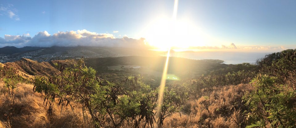 5박7일 하와이 허니문