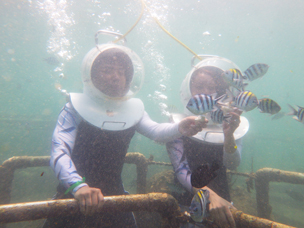 최고의 신혼여행을 마치고 (발리1탄)