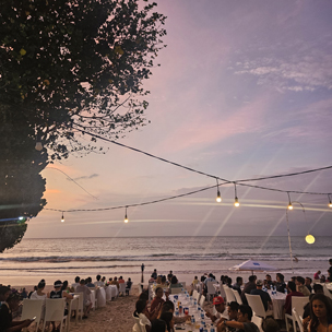 저희 잘 놀고 있습니다!