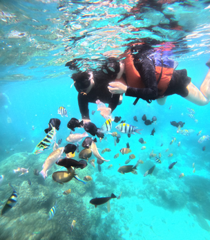 정말 행복한 신혼여행 추억 쌓고 왔습니다~